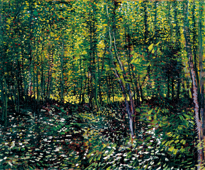  文森特·威廉·梵高  Vincent Willen Van Gogh ——树木和草丛1887